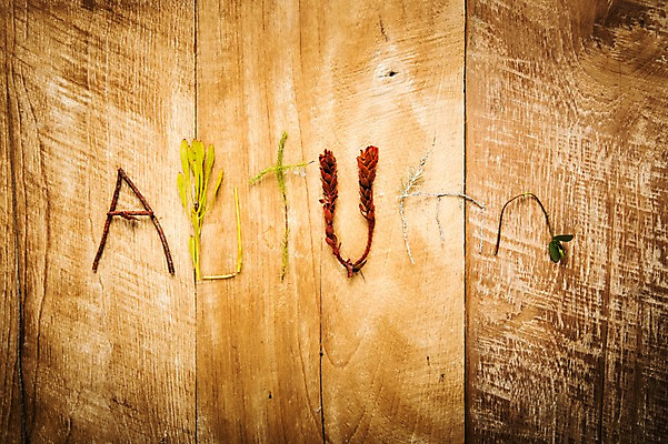 포토 JPG 스튜디오촬영 문자 영어 백그라운드 텍스트 나뭇잎 사람없음 단어 가을 국내포토 계절 잎 실내 파일형식