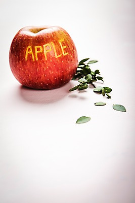 포토 JPG 스튜디오촬영 문자 영어 백그라운드 텍스트 나뭇잎 사람없음 단어 사과 국내포토 잎 과일 실내 파일형식