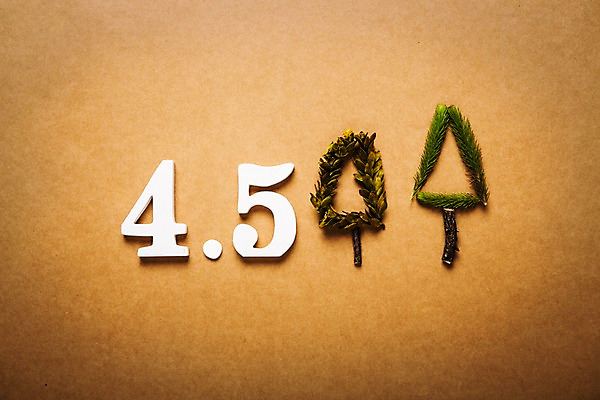 포토 JPG 스튜디오촬영 나무 문자 백그라운드 텍스트 나뭇잎 사람없음 단어 식목일 국내포토 식물 기념일 잎 실내 파일형식