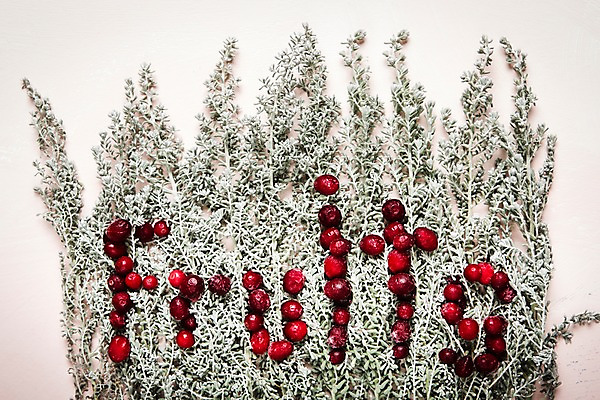 포토 JPG 스튜디오촬영 문자 영어 백그라운드 과일 텍스트 나뭇잎 사람없음 단어 국내포토 잎 실내 파일형식