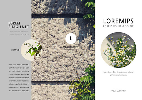 템플릿 편집 표지디자인 북디자인 출판디자인 표지 꽃 리플렛 벽 여행 북커버 3단접지 팜플렛 사람없음 덩굴 이미지템플릿 AI파일 식물 파일형식 벡터