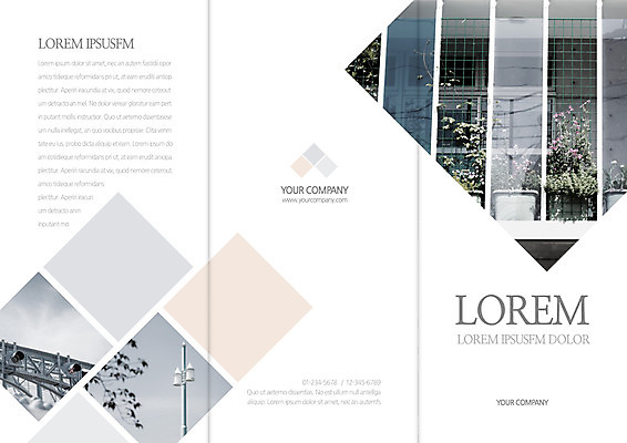 템플릿 편집 표지디자인 북디자인 출판디자인 표지 화분 리플렛 여행 북커버 3단접지 팜플렛 사람없음 이미지템플릿 AI파일 파일형식 벡터