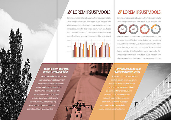 나무 템플릿 편집 표지디자인 북디자인 출판디자인 내지 리플렛 여행 북커버 3단접지 그래프 팜플렛 사람없음 자전거 다리 이미지템플릿 AI파일 식물 신체부위 바이크 파일형식 벡터