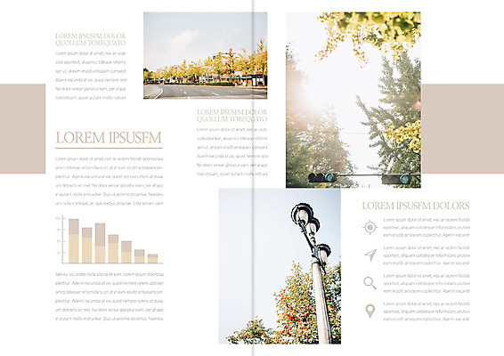 나무 템플릿 편집 표지디자인 북디자인 출판디자인 내지 도로 리플렛 여행 가로등 북커버 그래프 팜플렛 사람없음 햇빛 이미지템플릿 AI파일 식물 공공시설 길 교통시설 태양 파일형식 벡터