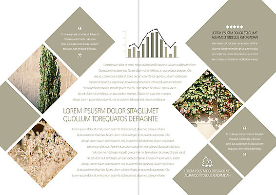 템플릿 편집 표지디자인 북디자인 출판디자인 내지 리플렛 여행 북커버 그래프 팜플렛 사람없음 덩굴 이미지템플릿 AI파일 식물 파일형식 벡터