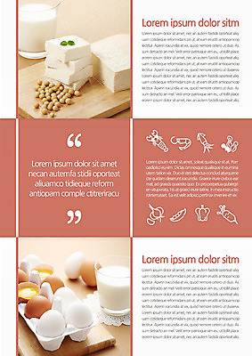 템플릿 편집 표지디자인 북디자인 출판디자인 내지 음식 리플렛 북커버 3단접지 새우 콩 마늘 팜플렛 사람없음 계란 가재 오징어 두부 이미지템플릿 AI파일 채소 곡류 연체동물 갑각류 알 수중동물 파일형식 벡터