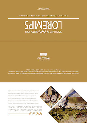 템플릿 편집 표지디자인 북디자인 커플 출판디자인 여자 표지 남자 리플렛 북커버 3단접지 앉기 팜플렛 여러명 상반신 20대 성인 뒷모습 다정 한국인 성인만 이미지템플릿 AI파일 뷰포인트 다수 컨셉 관계 모션 사람 동양인 청년 파일형식 벡터