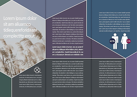 템플릿 편집 표지디자인 북디자인 출판디자인 내지 리플렛 북커버 3단접지 그래프 팜플렛 사람없음 억새 이미지템플릿 AI파일 식물 파일형식 벡터