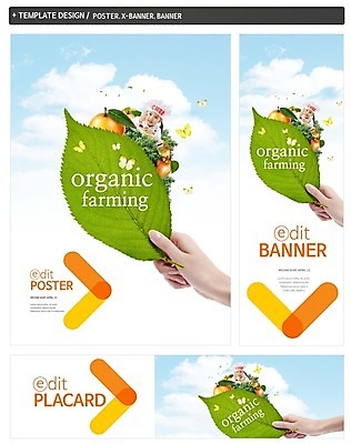 PSD 구름 템플릿 손 배너 배너템플릿 여자 가로배너 ZIP 포스터 세로배너 나비 하늘 나뭇잎 귤 한손 두명 신체부위 세트 요리사 유치원생 한국인 현수막 잡기 배 사과 자연요소 직업 어린이 곤충 잎 과일 모션 사람 동양인 가로 세로 파일형식