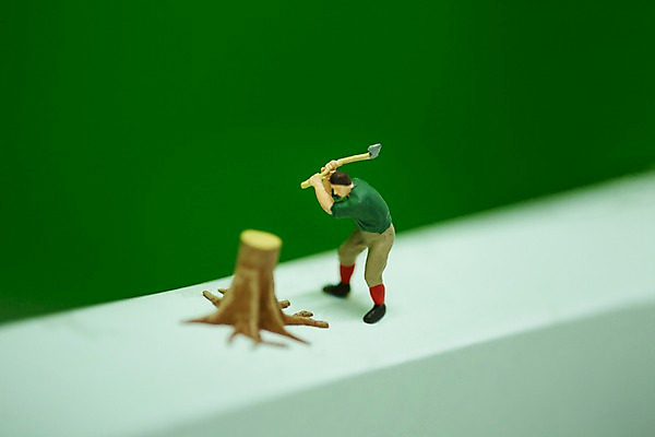 포토 JPG 스튜디오촬영 나무 근접촬영 사람없음 모형 미니어처 장작 나무꾼 도끼 국내포토 식물 뷰포인트 실내 파일형식