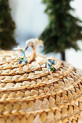 포토 JPG 스튜디오촬영 나무 근접촬영 사람없음 모형 농사 미니어처 농부 국내포토 식물 직업 뷰포인트 농업 실내 파일형식