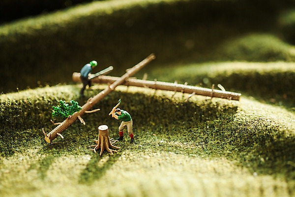 포토 JPG 스튜디오촬영 나무 근접촬영 사람없음 모형 미니어처 나무꾼 도끼 벌목 국내포토 식물 뷰포인트 실내 파일형식