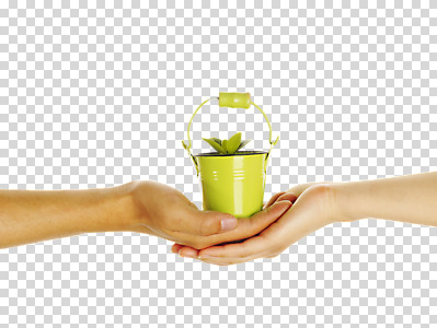 편집 편집이미지 손 화분 자연 협력 들기 신체부위 새싹 환경 희망 도움 소중 PNG 편집소스 식물 감정 컨셉 모션 사람 생태계 파일형식