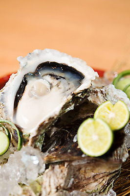 포토 JPG 그릇 음식 실내 사람없음 일본 얼음 굴 라임 일본음식 국내포토 자연요소 식기 아시아 과일 어패류 내부 파일형식