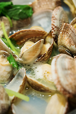 포토 JPG 음식 조개 실내 사람없음 일본 조개탕 일본음식 국내포토 아시아 어패류 내부 탕 파일형식