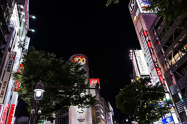 포토 JPG 주간 나무 도로 풍경 빌딩 사람없음 야외 건물 일본 도시 도쿄 야간 시부야 국내포토 자연요소 식물 건축물 아시아 길 교통시설 파일형식