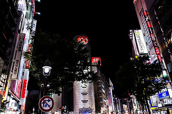포토 JPG 주간 나무 도로 풍경 빌딩 사람없음 야외 건물 일본 도시 도쿄 야간 시부야 국내포토 자연요소 식물 건축물 아시아 길 교통시설 파일형식