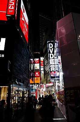 포토 JPG 주간 나무 도로 풍경 빌딩 여러명 야외 건물 일본 도시 도쿄 군중 야간 시부야 국내포토 자연요소 식물 건축물 아시아 길 다수 교통시설 사람 파일형식