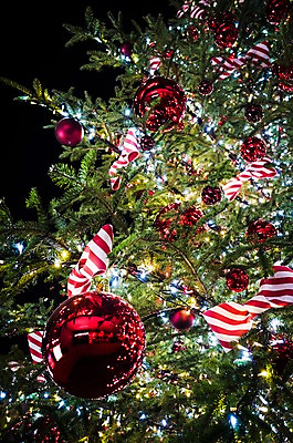 포토 JPG 리본 크리스마스 실내 사람없음 야외 크리스마스트리 일본 장식볼 도쿄 야간 국내포토 자연요소 기념일 아시아 내부 장식 파일형식