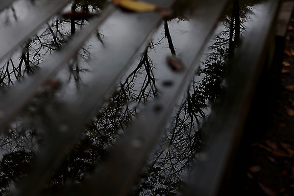 포토 JPG 주간 벤치 풍경 사람없음 야외 일본 비 빗물 국내포토 자연요소 아시아 의자 날씨 비_날씨 파일형식