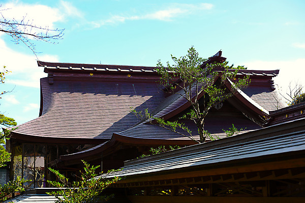 포토 JPG 주간 나무 구름 건축물 고건축 하늘 풍경 사람없음 야외 일본 일본전통 일본건축 이바라키 국내포토 자연요소 식물 전통 건축 아시아 동양건축 파일형식