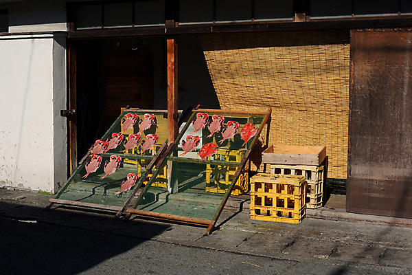 포토 JPG 주간 건조 어류 풍경 사람없음 야외 일본 망 시즈오카 국내포토 자연요소 아시아 수중동물 파일형식