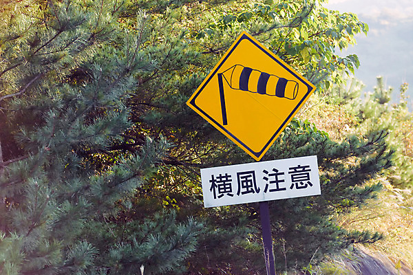 포토 JPG 주간 나무 바람 풍경 사람없음 야외 일본 표지판 구마모토 나루 주의표 국내포토 자연요소 식물 아시아 날씨 알림판 주의 파일형식