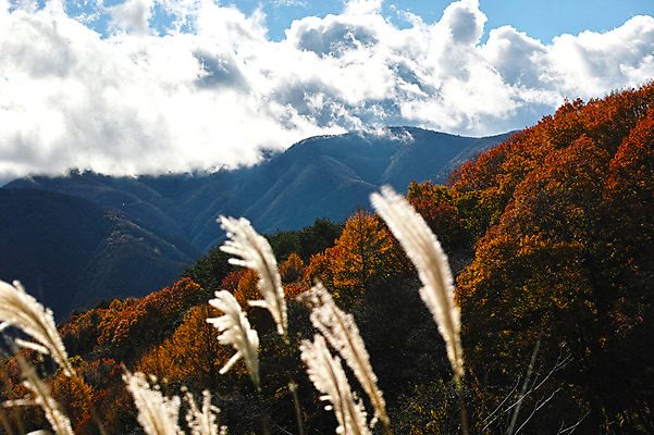 포토 JPG 주간 구름 자연 하늘 산 풍경 사람없음 야외 일본 미나미알프스 나가노 국내포토 자연요소 아시아 생태계 파일형식