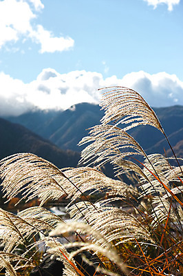포토 JPG 주간 구름 자연 하늘 산 풍경 사람없음 야외 일본 미나미알프스 나가노 국내포토 자연요소 아시아 생태계 파일형식