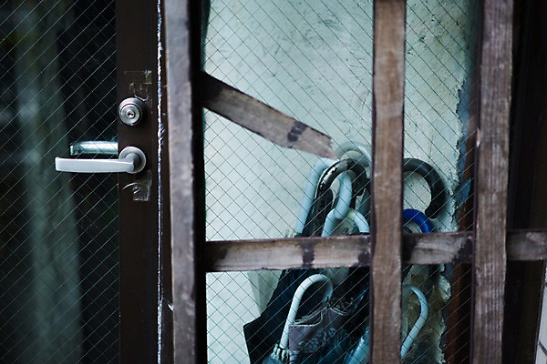 포토 JPG 주간 우산 사람없음 야외 일본 국내포토 자연요소 아시아 파일형식