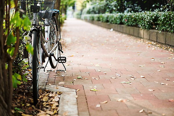 포토 JPG 주간 거리 풍경 사람없음 야외 일본 자전거 국내포토 자연요소 아시아 바이크 파일형식