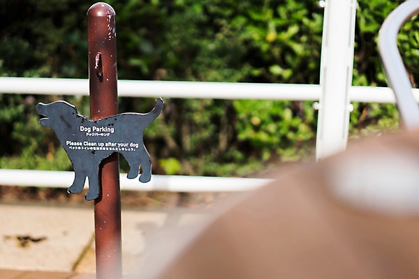 포토 JPG 주간 풍경 사람없음 야외 일본 금지 국내포토 자연요소 아시아 파일형식