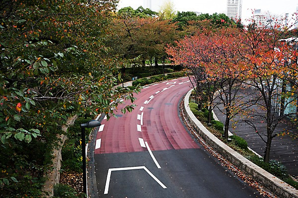 포토 JPG 주간 나무 공원 도로 풍경 사람없음 야외 일본 도시 도쿄 국내포토 자연요소 식물 공공시설 아시아 길 교통시설 파일형식