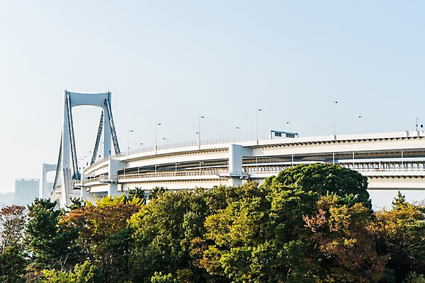 포토 JPG 주간 나무 구름 하늘 풍경 사람없음 야외 일본 다리 도시 도쿄 국내포토 자연요소 식물 아시아 신체부위 파일형식