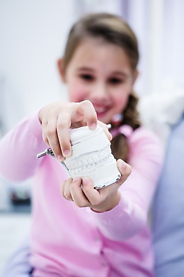 포토 JPG 백인 여자 치과 한명 들기 소녀 상반신 앞모습 아웃포커스 유치원생 치아모형 소녀한명만 국내포토 서양인 1 어린이 뷰포인트 모션 촬영기법 병원 사람 치아 여자한명만 소녀만 파일형식