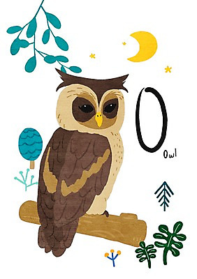 PSD 나무 동물 알파벳 별 일러스트 나뭇잎 사람없음 달 O 올빼미 낱말카드 교육자료 국내일러스트 자연요소 식물 영어 교육 잎 조류 자료 교구 파일형식