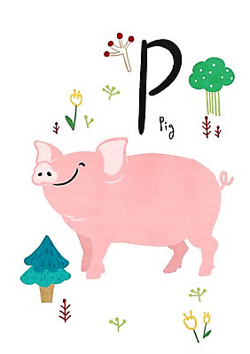 PSD 나무 동물 알파벳 일러스트 사람없음 돼지 P 낱말카드 교육자료 국내일러스트 식물 영어 교육 포유류 자료 교구 파일형식