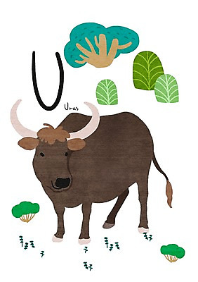 PSD 나무 동물 알파벳 일러스트 사람없음 U 들소 낱말카드 교육자료 국내일러스트 식물 영어 교육 자료 소 교구 파일형식