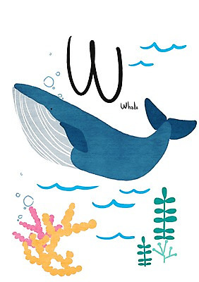 PSD 동물 알파벳 일러스트 사람없음 해조류 고래 W 낱말카드 교육자료 국내일러스트 영어 교육 포유류 자료 수중동물 해양식물 교구 파일형식