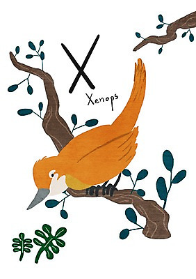 PSD 나무 동물 알파벳 일러스트 조류 사람없음 금지 나뭇가지 X 아니오 낱말카드 교육자료 휘파람새 국내일러스트 식물 영어 교육 자료 교구 파일형식