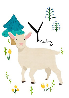 PSD 나무 동물 알파벳 꽃 새끼 일러스트 염소 사람없음 Y 낱말카드 교육자료 국내일러스트 식물 영어 교육 포유류 자료 교구 파일형식