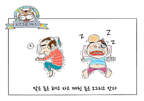 남자 일러스트 베개 성인 두명 잠 호랑이 상처 사자성어 고민 속담 국내일러스트 AI파일 문자 감정 포유류 침구 사람 한자 파일형식 벡터