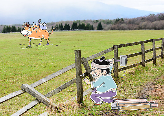 편집 편집이미지 남자 한명 잔디 성인 못 소 수리 망치 한복 나무막대기 나무울타리 이미지편집 AI파일 식물 1 한국전통 포유류 사람 울타리 공구 막대기 전통의상 파일형식 벡터