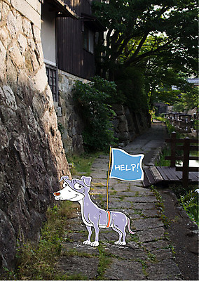 나무 편집 편집이미지 길 사람없음 깃발 도움 강아지 반려 이미지편집 AI파일 식물 컨셉 반려동물 개 파일형식 벡터