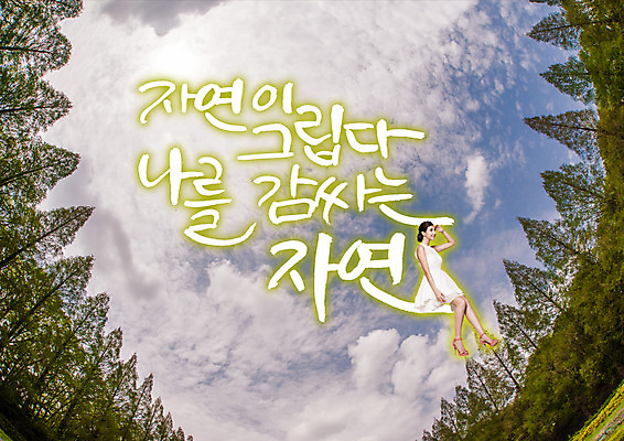 전신 PSD 나무 백인 구름 편집이미지 원피스 여자 로우앵글 자연 하늘 한명 앉기 20대 성인 한글 옆모습 뷰티 하이힐 숲 그리움 감싸기 이미지편집 자연요소 서양인 식물 문자 1 옷 감정 구두 뷰포인트 모션 사람 청년 여성화 생태계 파일형식