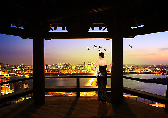 전신 PSD 편집이미지 드레스 여자 야경 와인잔 조류 한명 서기 들기 동양인 성인 뒷모습 일몰 도시 정자 이미지편집 동물 1 건축물 옷 뷰포인트 술잔 모션 사람 인종 노을 야간 파일형식 풍경_경치