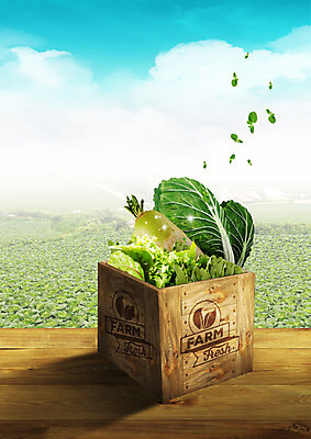PSD 구름 편집이미지 하늘 사람없음 목재 신선 무 나무상자 배추 나무바닥 배추밭 쌈채소 이미지편집 자연요소 나무 밭 채소 재료 바닥 뿌리채소 상자 파일형식