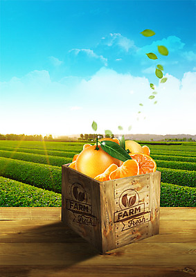 PSD 구름 편집이미지 밭 하늘 귤 사람없음 목재 신선 나무상자 나무바닥 이미지편집 자연요소 나무 농업 과일 재료 바닥 상자 파일형식