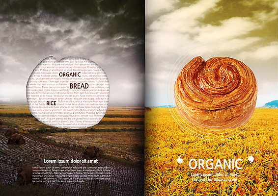 PSD 구름 편집이미지 영어 빵 하늘 논 사람없음 벼 비교 유기농 반전 롤빵 이미지편집 자연요소 문자 웰빙 음식 컨셉 농업 곡류 파일형식