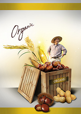 PSD 편집이미지 영어 남자 음식 50대 허리손 옥수수 한명 미소 상반신 성인 앞모습 한국인 벼 농부 밤 나무상자 유기농 땅콩 이미지편집 직업 문자 1 웰빙 뷰포인트 중년 포즈 곡류 표정 사람 동양인 상자 견과류 파일형식